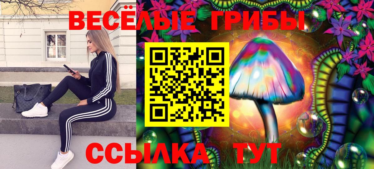 Ковров  Галлюциногенные грибы прущие грибы  Вход с VPN  Галлюциногенные грибы прущие грибы 